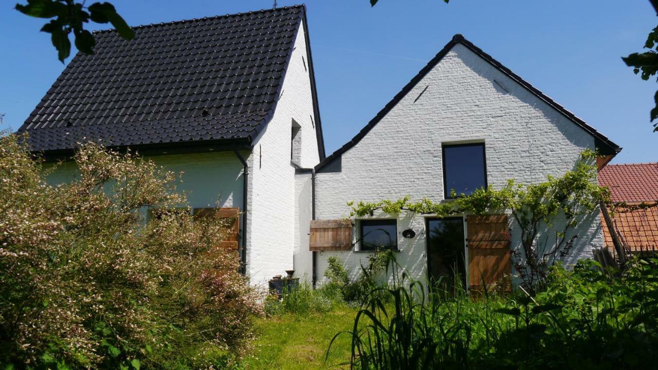 We Maison D'Hotes Cassel Eksteriør bilde